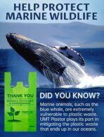 100 Count 100% Biodegradable Thank You Bags – Compostable, Recyclable, Eco-Friendly Grocery T-Shirt, 11.5" x 6.25" x 21", 16 Mic - Image 6