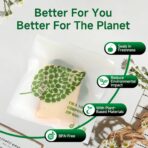 Compostable Sandwich Size Food Storage Bags Freezer and Leak Proof, (25 Eco Zip) Seal well for Sandwich or Fruit Plant-Based BPA-free (25) - Image 7