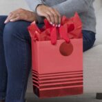 Hallmark 9" Medium Gift Bag with Tissue Paper (Red Foil Stripes) for Christmas, Birthdays, Father's Day, Graduations, Valentines Day, Sweetest Day - Image 3
