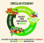 BioBag (USA) The Original Compostable Bag, 33 Gallon, 120 Count, 100% Certified Compostable Trash Bag Liners for Food Waste, Extra Strong and Durable, Trash Bag - Image 7