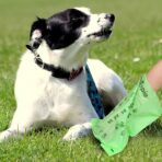 Tear-Free Biodegradable Dog Poop Bags, 240 Compostable Pet Waste Bags Rolls, Plant-Based & Plastic-Free, Extra Thick Leakproof, Unscented, ASTM D6400 & EN 13432 Compliant,Light Green - Image 8