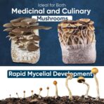 Surfin' Spores 4-Pack Mushroom Grain Bags | 1lb Sterile Grain Spawn Bags for Growing w/Self-Healing Injection Port | Milo Grain Infused w/Oyster Shell and Gypsum (4-Pack) - Image 5