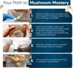 Surfin' Spores 4-Pack Mushroom Grain Bags | 1lb Sterile Grain Spawn Bags for Growing w/Self-Healing Injection Port | Milo Grain Infused w/Oyster Shell and Gypsum (4-Pack) - Image 6