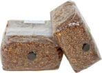 Premium 5-Grain Mushroom Spawn Bags | Sterilized Grain Spawn | Injection Ports | 2 Quarts Each Bag | 2 Bags per Box - Image 3