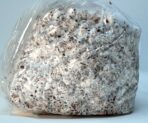 Premium 5-Grain Mushroom Spawn Bags | Sterilized Grain Spawn | Injection Ports | 2 Quarts Each Bag | 2 Bags per Box - Image 5